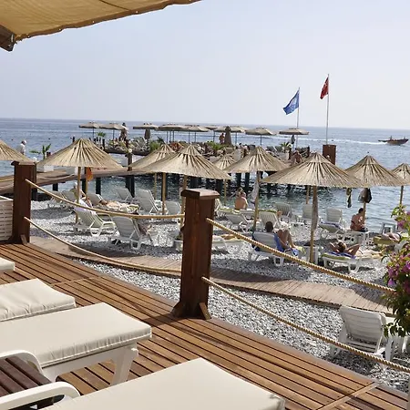 Alkoclar Exclusive 5* קמר